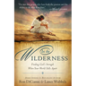 In the Wilderness: Finding God's Strength When Your World Falls Apart