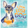Little Lost Dog, Looking For His Home