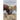 The Loneliness of Horses