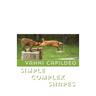 Simple Complex Shapes