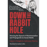 Down the Rabbit Hole: Slowing the Spread of Misinformation and Propaganda on Social Media