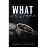 What We Broke