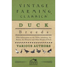Duck Breeds - With Information on the White Aylesbury, the Rouen, the Muscovy and Other Breeds of Duck