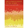 The Curious Death of the Novel: Essays in American Literature