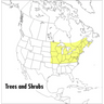A Field Guide to Trees and Shrubs: Northeastern and North-Central United States and Southeastern and South-Central Canada