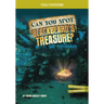 Can You Spot Blackbeard's Treasure?: An Interactive Treasure Adventure