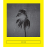 Home: New Arabic Poems
