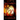 The Book of SOL