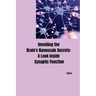 Unveiling the Brain's Nanoscale Secrets: A Look Inside Synaptic Function