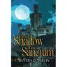 In the Shadow of the Sanctum