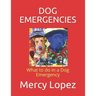 Dog Emergencies: What to do in a Dog Emergency