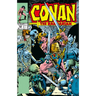 Conan the Barbarian: The Original Comics Omnibus Vol.8