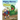 Mighty Warren & the Dinos