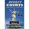 Secret Courts: Child Protection or Child Abuse? How and why 'the system' is failing our children!