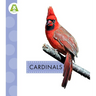 Cardinals