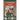 A Christmas Carol: Young Adult (YA) Edition in Accessible English