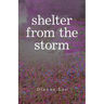 Shelter from the Storm