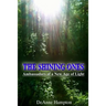 The Shining Ones Ambassadors of a New Age of Light
