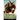 The Temptation of Saint Anthony (Historical Novel)