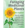 Foraging Medicinal Plants of New England: How to safely identify and prepare over 100 medicinal plants for herbal remedies