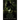 The Girl's Insidious Shadow