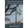 Life's Little Adventures: The Journey Continues