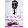 The New Negro: An Interpretation