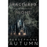 Fractured Night: A Stone Bay Special Edition