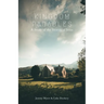 Kingdom Parables: A Study of the Stories of Jesus