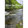After the Storm: A Vermont Village Mystery