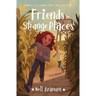 Friends in Strange Places: Heroes on the Home Front Mysteries #2