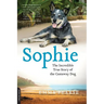 Sophie: The Incredible True Adventures of the Castaway Dog