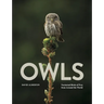 Owls: Nocturnal Birds of Prey from Around the World