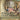 English Colonies Establishment and Expansion U.S. Revolutionary Period Fourth Grade Social Studies Children's Geography & Cultures Books