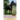 The On the Victory Trail: 2 (Revised)