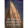 Between Different Cultures: Essays in Conversation with Yang Huilin