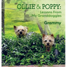 Ollie & Poppy: Lessons From My Granddoggies