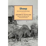 Sheep: Life on the South Dakota Range