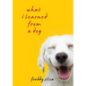 What I Learned From A Dog
