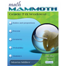 Math Mammoth Grade 7-B Worktext
