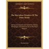 The Marvelous Wonders Of The Polar World: Being A Complete And Authentic History Of Voyages And Discoveries In The Polar Regions