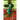 Junior's Leg