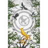 Ballad of Songbirds and Snakes Blank Writing Journal (Hunger Games)