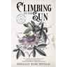 Climbing To The Sun