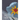 Cosmos and Chaos