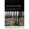Spontaneous Venturing: An Entrepreneurial Approach to Alleviating Suffering in the Aftermath of a Disaster