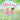 Bloom!: A Story of Diversity and Understanding