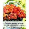 5-Digit Number Search 5: 120 5-Digit Number Find Puzzles in Large Print