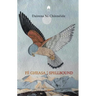Fé Gheasa / Spellbound