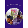 The Essential Oil Quick Guide: On a Budget